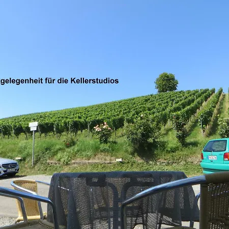 Gaestehaus Sommertal, Eigener Parkplatz, 800m Zum Bodensee, 300m Zur Altstadt Maison d'hôtes