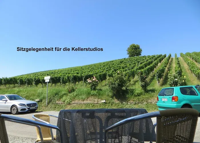 Gaestehaus Sommertal, Eigener Parkplatz, 800m Zum Bodensee, 300m Zur Altstadt Vendégház